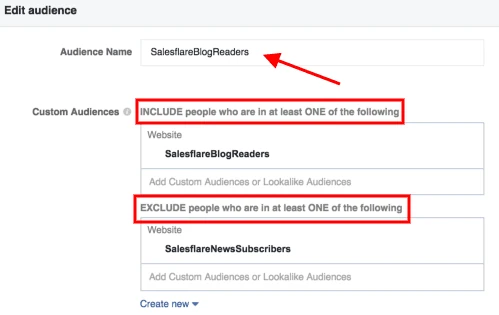 Schermata che mostra come automatizzare le vendite utilizzando il pubblico personalizzato di Facebook