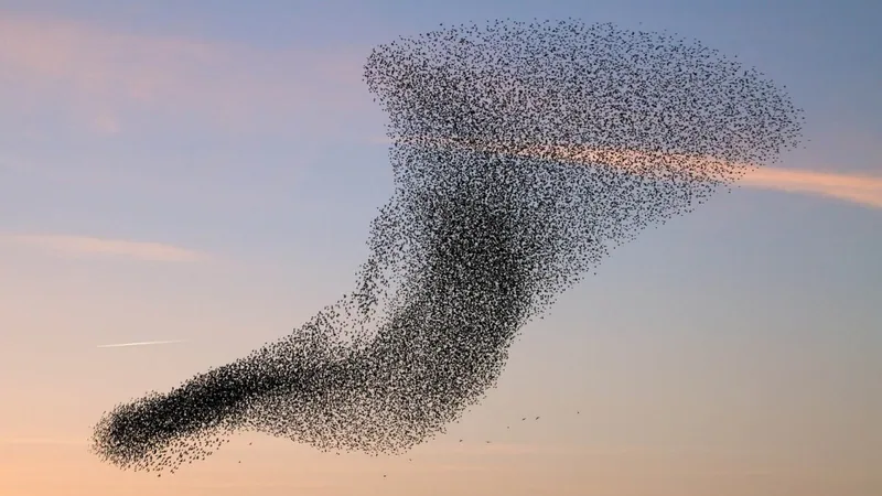 zwerm vogels op één lijn in de lucht