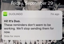 duolingo herinneringsmeldingen